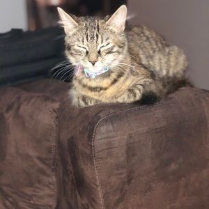 Meet your Posher, Anthony